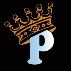The Power Washing Kings small logo