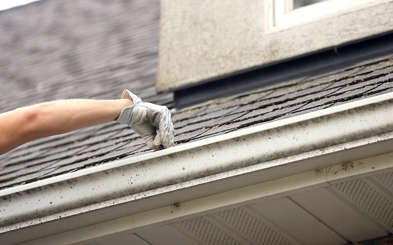 Gutter Cleaning Service Near Me