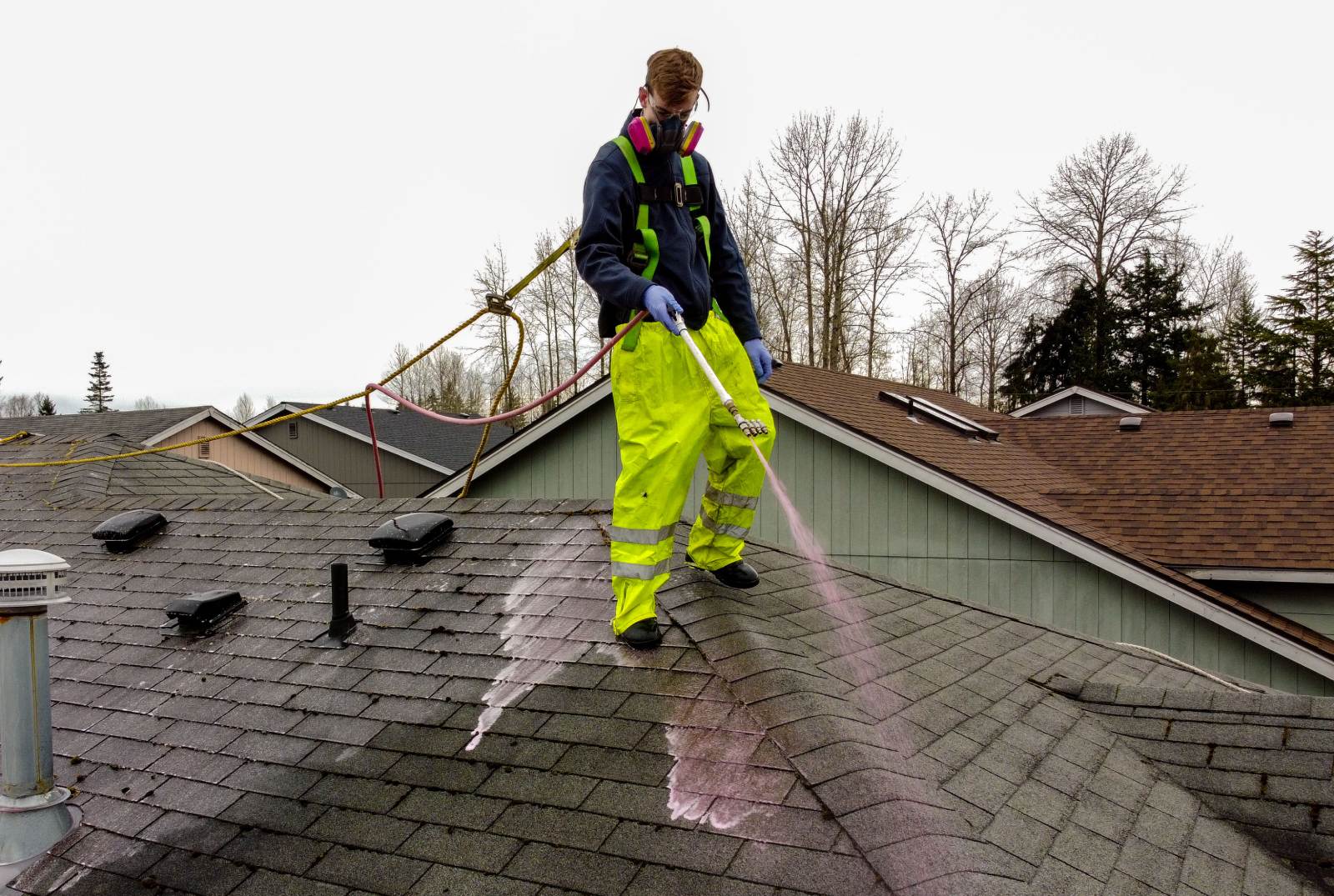 The Importance of Roof Cleaning The Powerwashing Kings