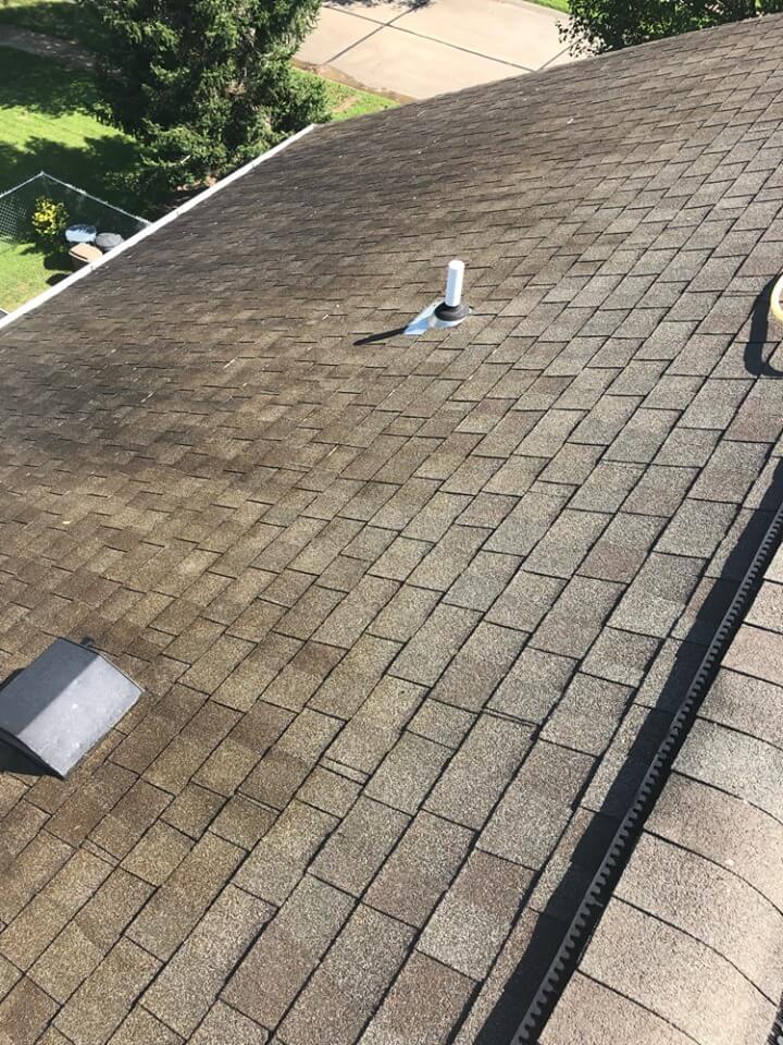 Roof Clean Before