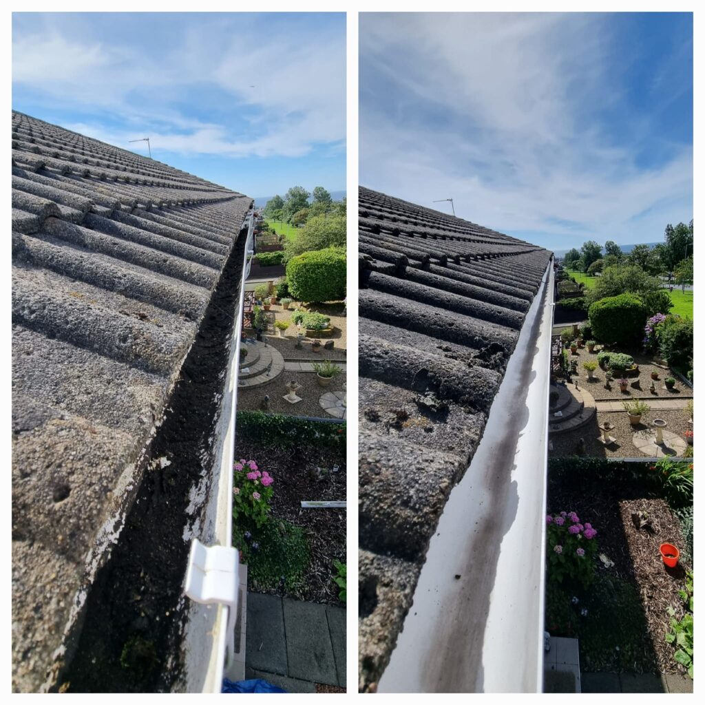 Gutter Cleaning Services 