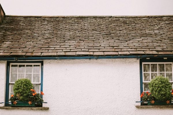 5 Common Roof Stains and How Professional Washing Can Remove Them-blog