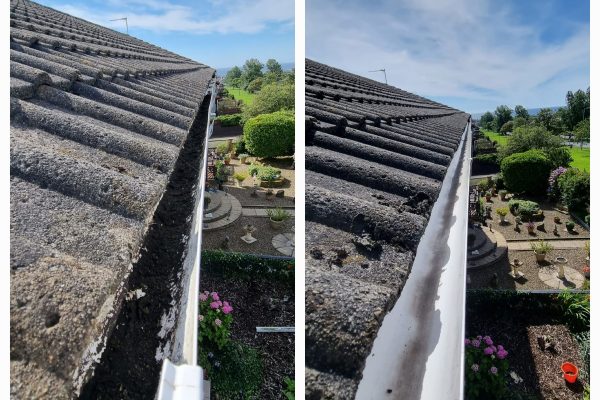 Gutter Cleaning Services