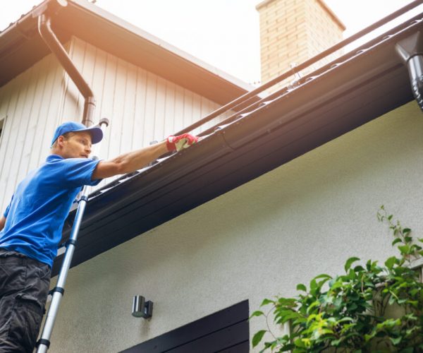Gutter Cleaner Near Me