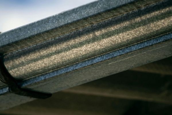 Gutter Guards vs. Regular Gutter Cleaning_ Which Is Best for Your Home_-blog