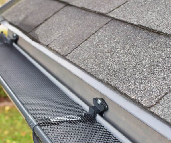 Residential Gutter Cleaning (2)
