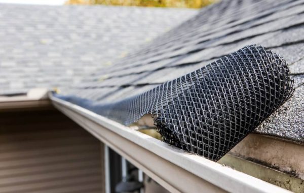 Residential Gutter Cleaning (6)