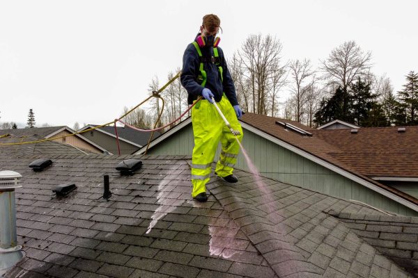 Roof Pressure Washing
