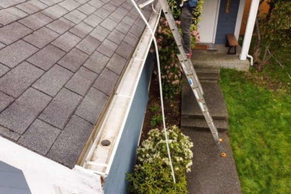 Ultimate Guide to Gutter Cleaning_ From Debris to Downspouts -blog