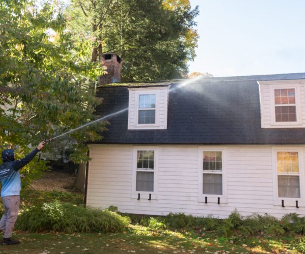 Roof Washing